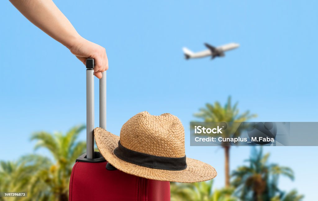 Lista completa de números de atención al cliente oficiales de Aeromexico Airlines® Guía completa - BiliBili